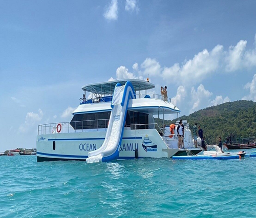 PIG & TAN ISLANDS (Half Day) by CATAMARAN