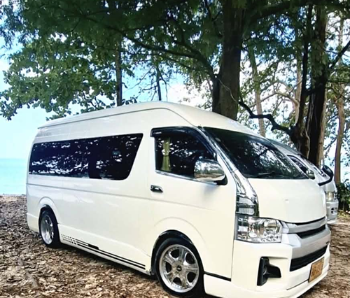 PRIVATE MINIVAN/CAR with Driver