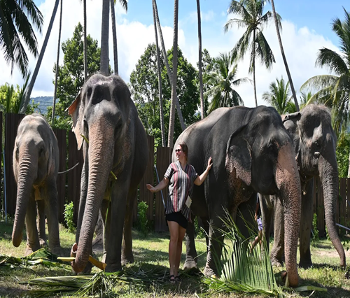 ELEPHANT JUNGLE SANCTUARY SAMUI